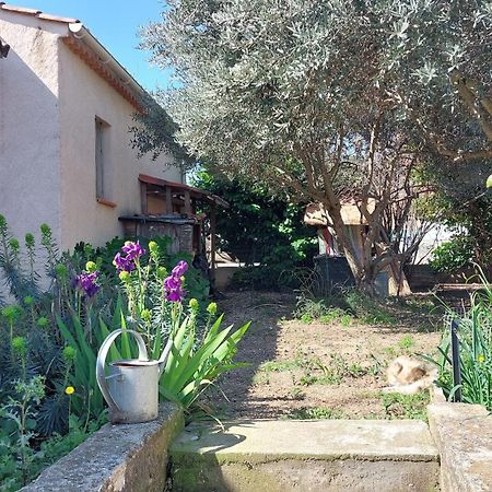 Villa 80 M2 Jardin Terrasse 3 Chambres Provence Volx Exterior photo